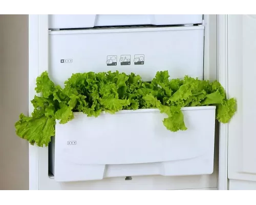 Холодильник Pozis RK-103 бежевый