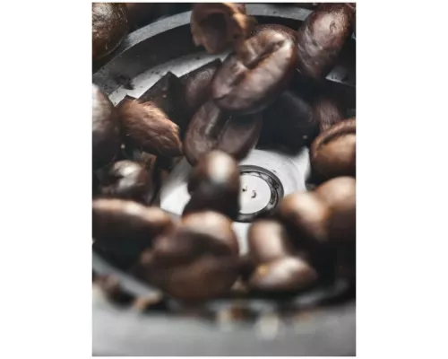 Кофемолка DeLonghi KG520.M