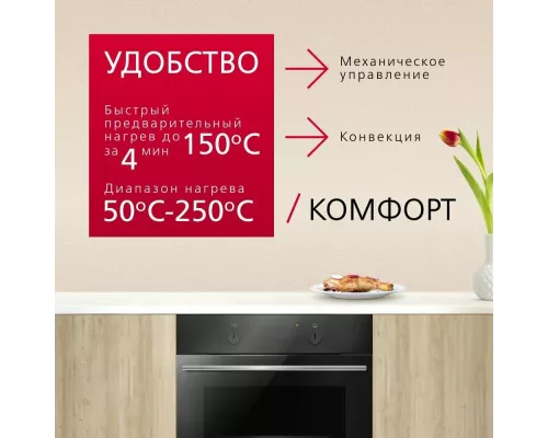 Духовой шкаф Hansa BOES68004