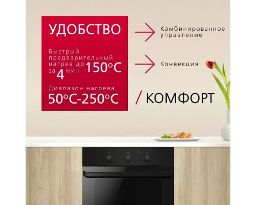 Духовой шкаф Hansa BOES681621