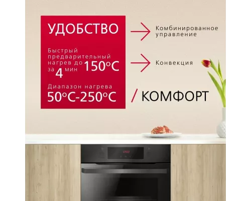 Духовой шкаф Hansa BOES68454