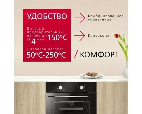 Духовой шкаф Hansa BOES68460