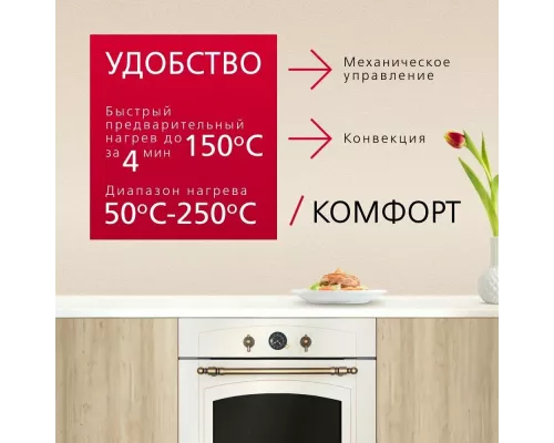 Духовой шкаф Hansa BOEW68269