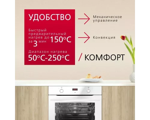 Духовой шкаф Hansa BOEW684097