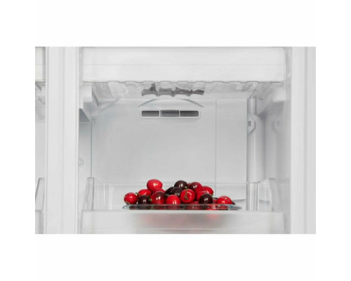 Холодильник NORDFROST RFQ 510 NFGW inverter Холодильник NORDFROST RFQ 510 NFGW inverter