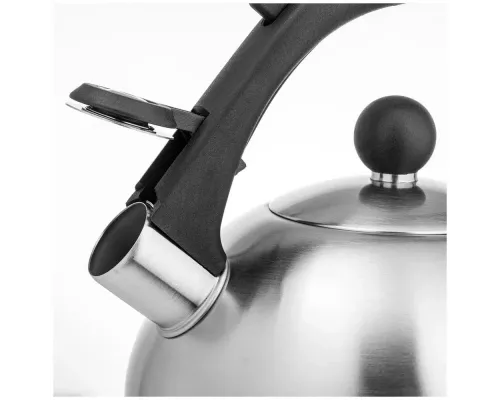 Чайник LARA LR00-05