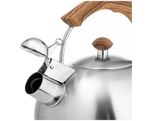 Чайник LARA LR00-18