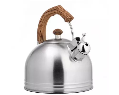 Чайник LARA LR00-18