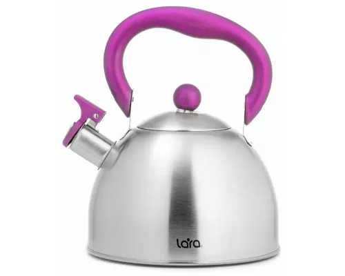 Чайник LARA LR00-62