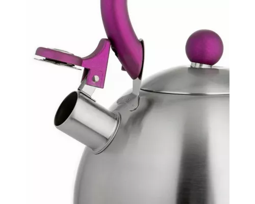 Чайник LARA LR00-62