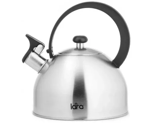 Чайник LARA LR00-65