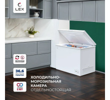 Морозильный ларь LEX LFR384