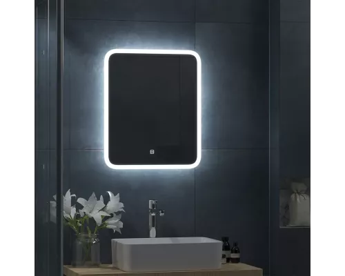 Зеркало САНАКС 500*600 45236