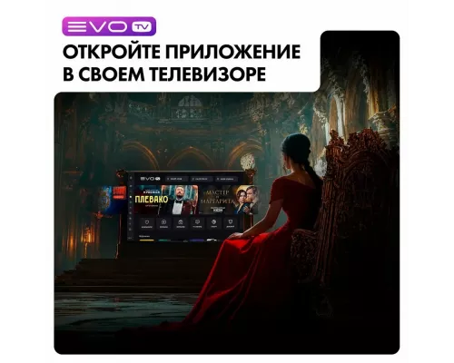 Телевизор Evo tv 43 Black