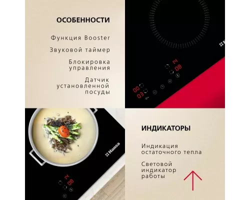 Варочная поверхность Hansa BHI683200