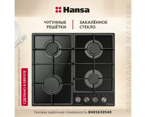 Варочная поверхность Hansa BHKS630540
