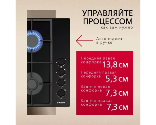 Варочная поверхность Hansa BHKS661830