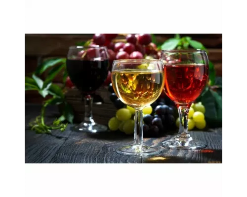 Винный шкаф CASO WineComfort 380 Smart