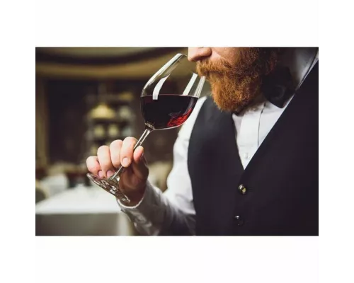 Винный шкаф CASO WineComfort 380 Smart