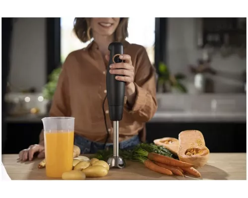 Блендер Moulinex DD46E810 черный