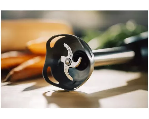 Блендер Moulinex DD46E810 черный