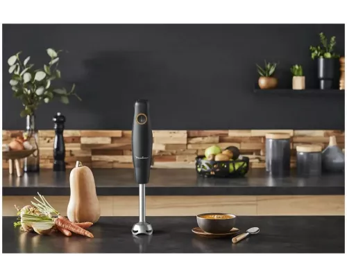 Блендер Moulinex DD46E810 черный