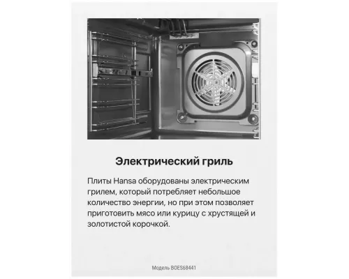 Духовой шкаф Hansa BOES68441