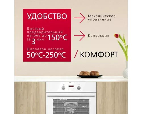 Духовой шкаф Hansa BOEW68465