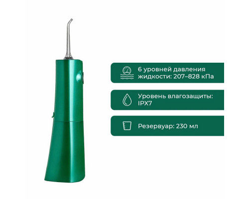 Ирригатор Revyline RL 610 Special Color Edition Green Dragon Ирригатор Revyline RL 610 Special Color Edition Green Dragon