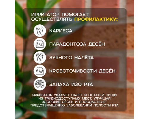 Ирригатор MYDENTYX PD39500 белый Ирригатор MYDENTYX PD39500 белый