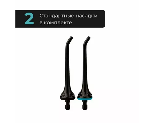 Ирригатор Revyline RL 220, 7944, черный