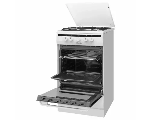 Кухонная плита Hansa FCGW51003