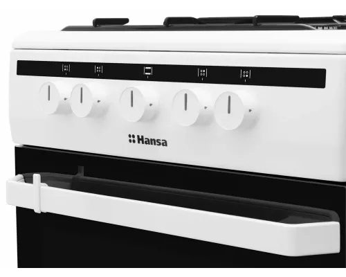 Кухонная плита Hansa FCGW51003