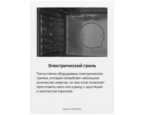 Кухонная плита Hansa FCGX62020 серебристый