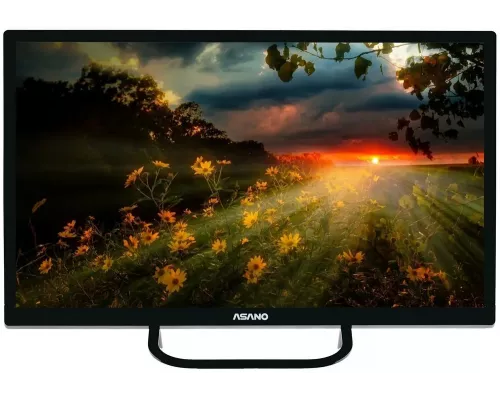 Телевизор Asano 24LH1110T