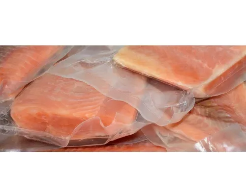 Вакууматор CASO GourmetVAC 480