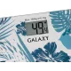 Весы напольные Galaxy GL4801