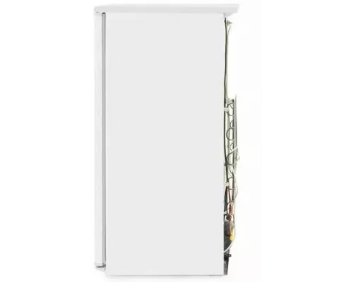 Холодильник Бирюса 10