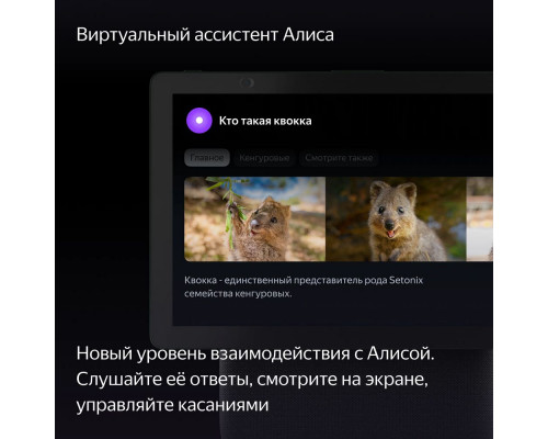 Умная колонка Yandex Станция Дуо Макс с дисплеем, Zigbee, зеленый Умная колонка Yandex Станция Дуо Макс с дисплеем, Zigbee, зеленый