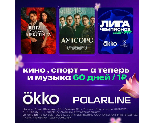 Телевизор POLARLINE 40PL53TC-SM