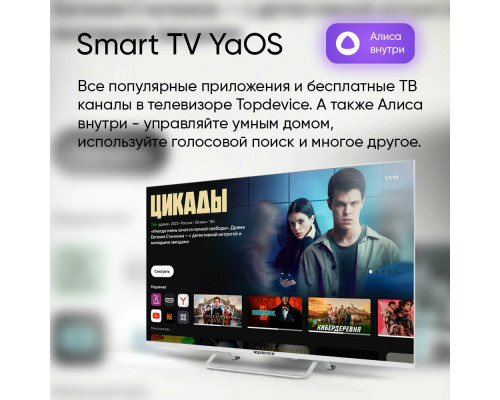 Телевизор TOPDEVICE TDTV24CS03H_WE белый