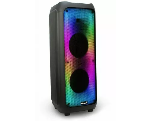 Портативная колонка Eltronic 20-61 FIRE BOX 1000