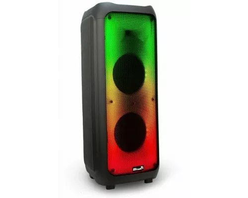 Портативная колонка Eltronic 20-61 FIRE BOX 1000
