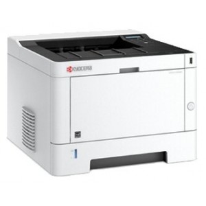 Принтер лазерный Kyocera Ecosys P2040dn