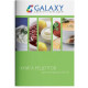 Блендер GALAXY GL 2124
