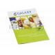 Блендер GALAXY GL 2124