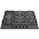 Варочная поверхность DeLonghi GERMANA 7GW NB