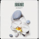 Весы напольные SCARLETT SC-BS33E020