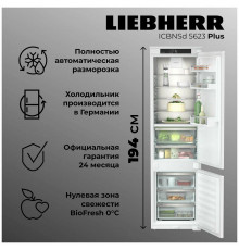 Встраиваемый холодильник Liebherr ICBNSd 5623-20 001