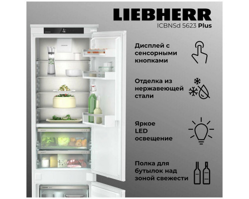 Встраиваемый холодильник Liebherr ICBNSd 5623-20 001 Встраиваемый холодильник Liebherr ICBNSd 5623-20 001